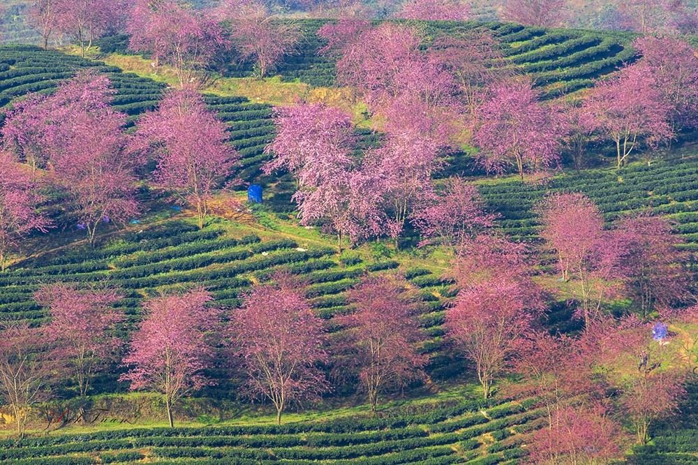 Spring