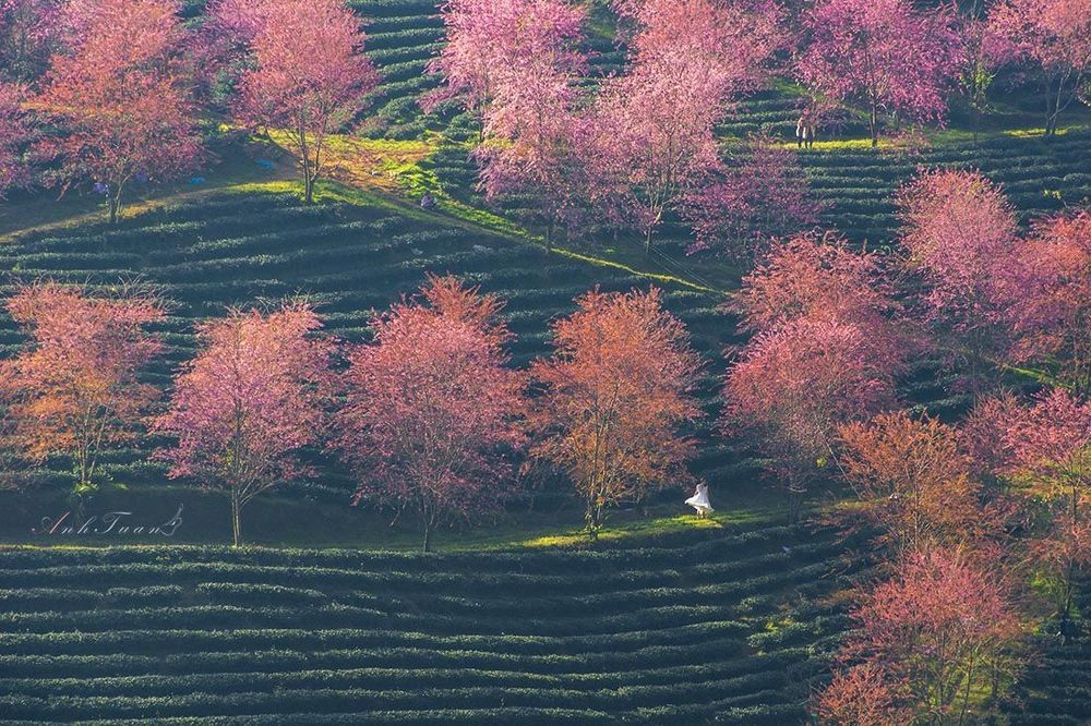 Spring