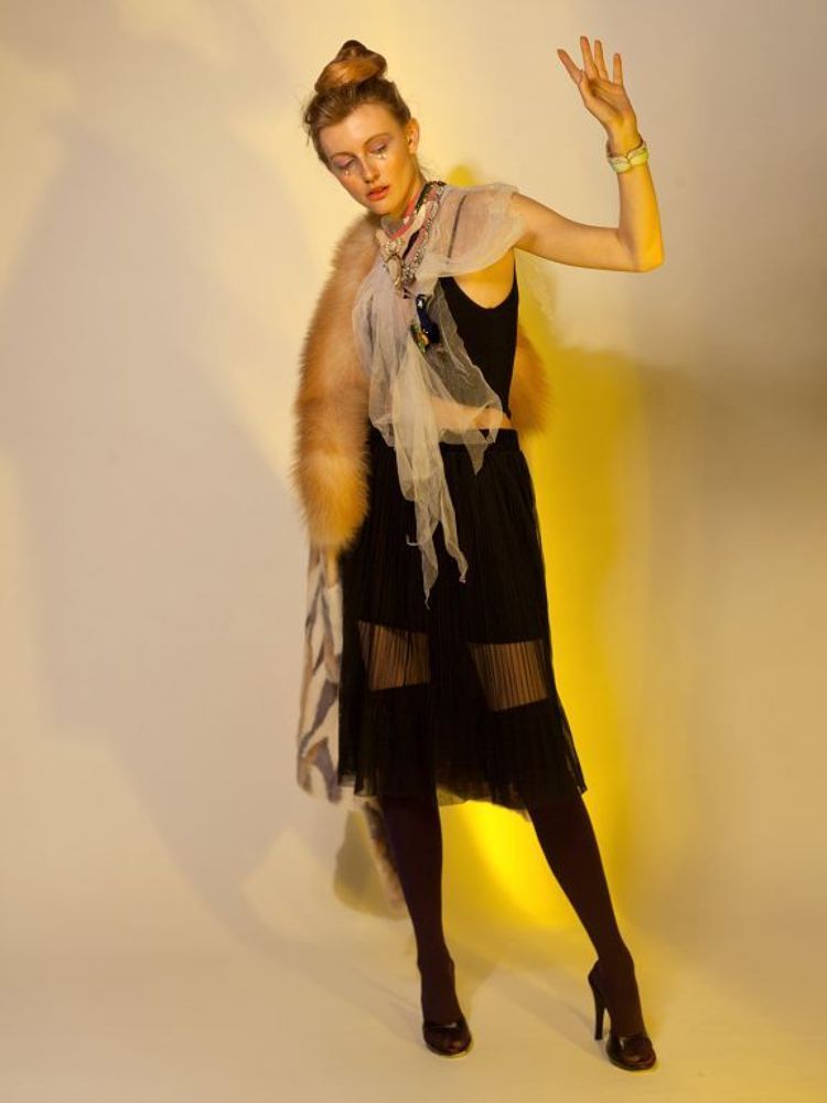 bird of paradise