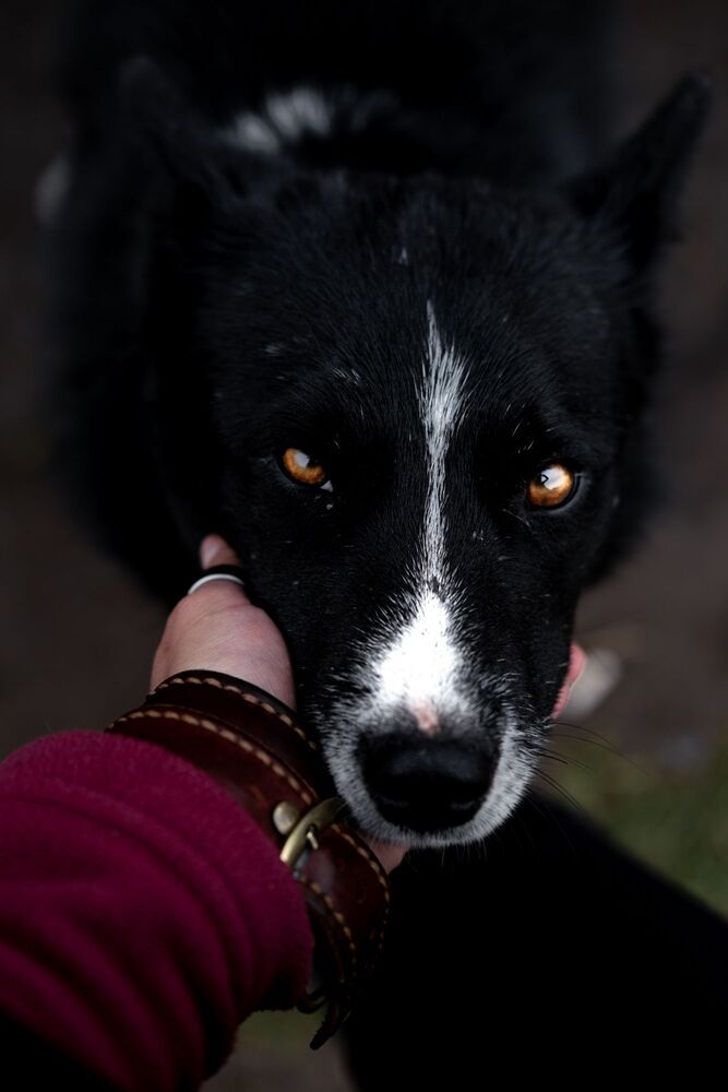 Photo 1594667