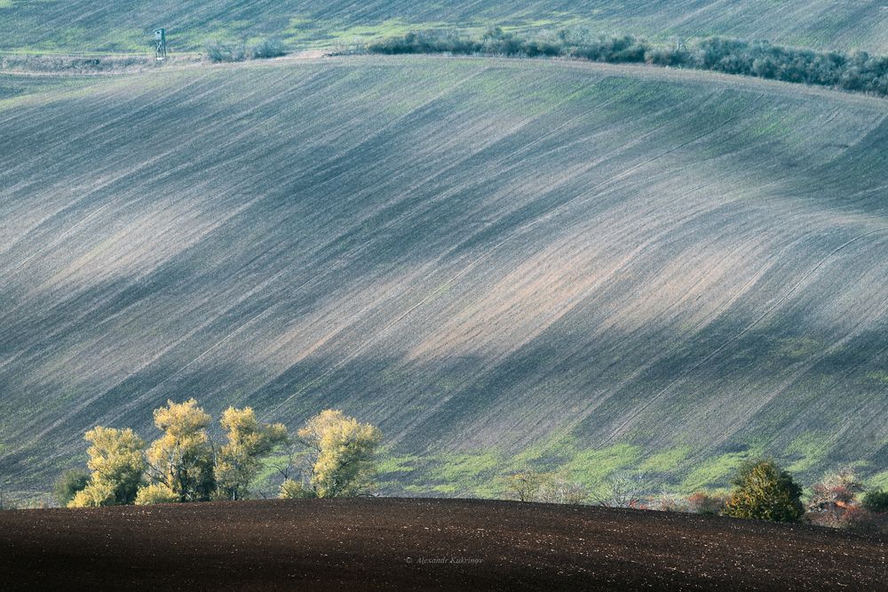 В коробке с карандашами...