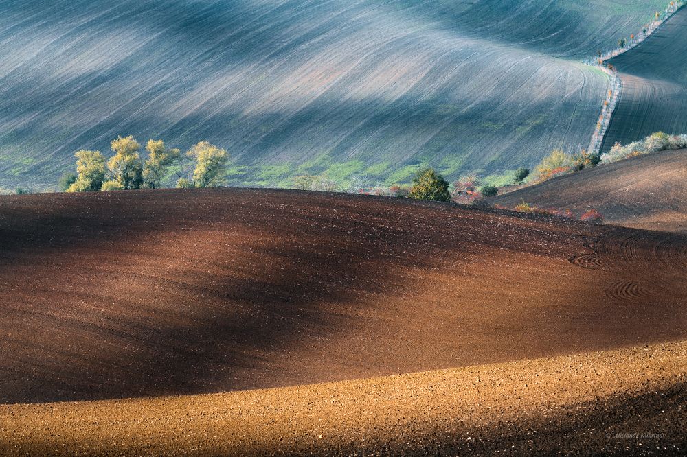 В коробке с карандашами...