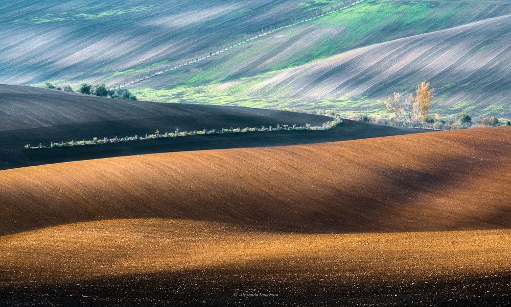 В коробке с карандашами...