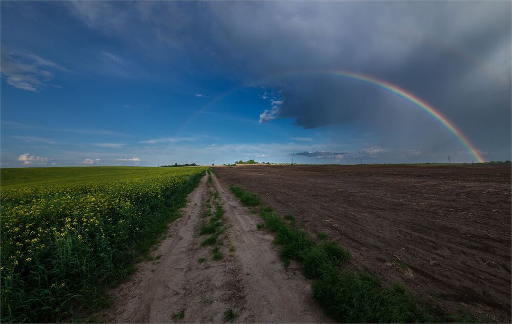 весенние грозы...