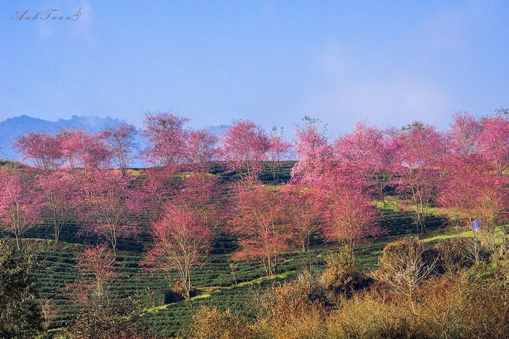 Spring