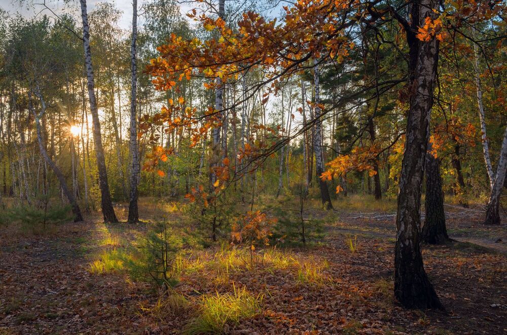 Осеннее великолепие