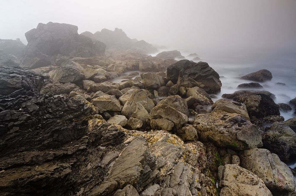 Vancouver Island. Ucluelet
