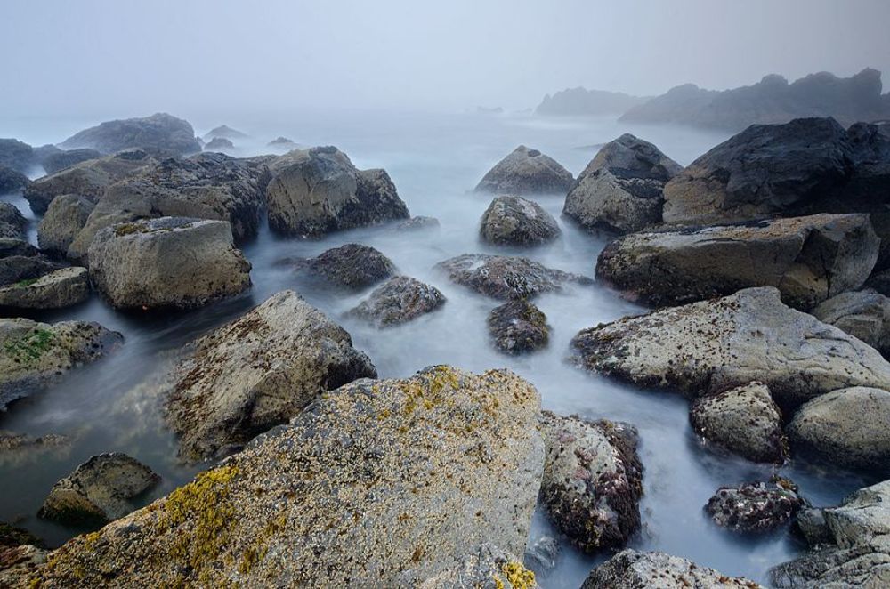 Vancouver Island. Ucluelet