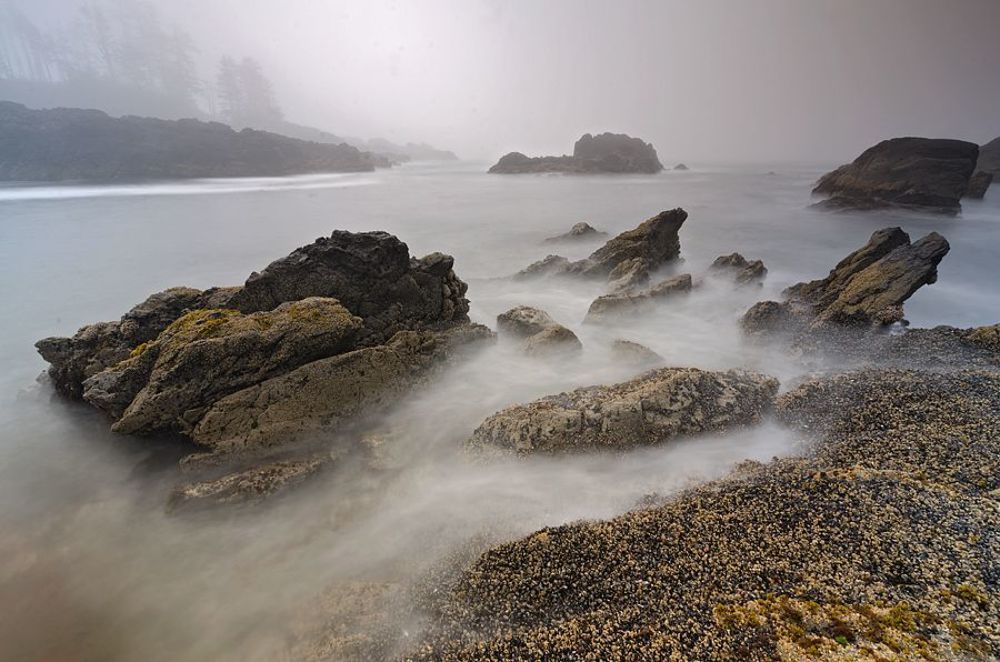 Vancouver Island. Ucluelet