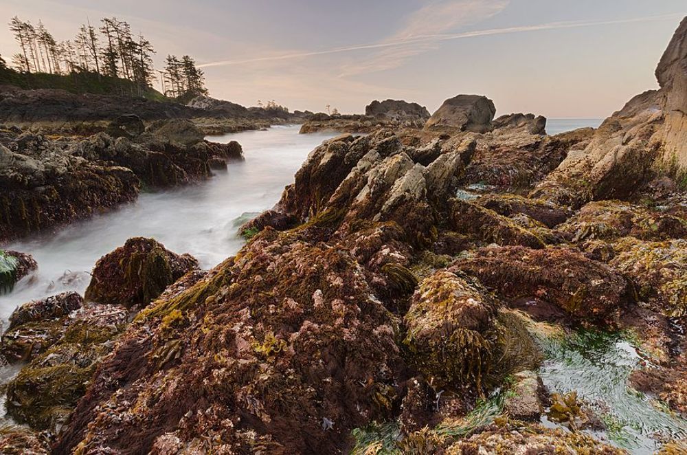 Vancouver Island. Ucluelet