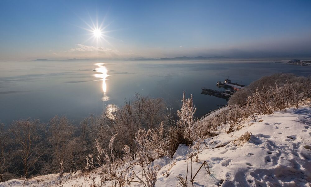 Хроника одного дня