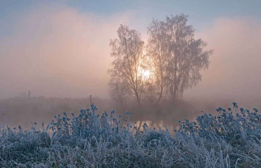 Осенние заморозки