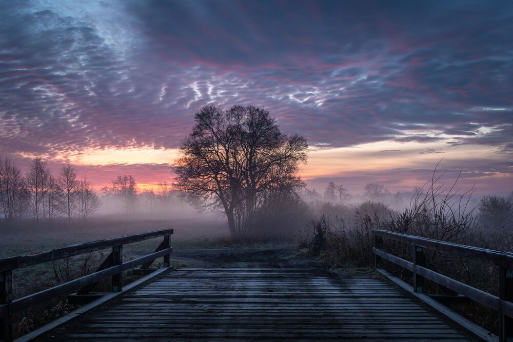 Poland