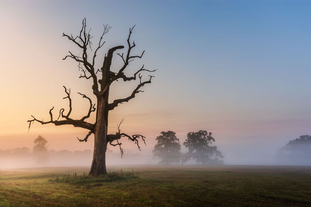 Poland