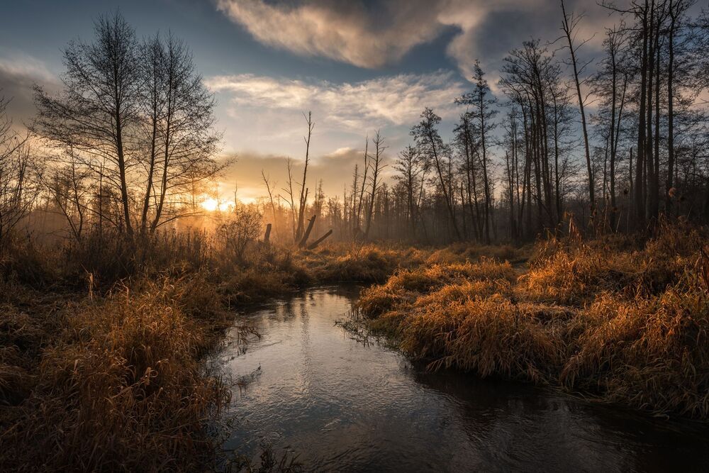 Poland
