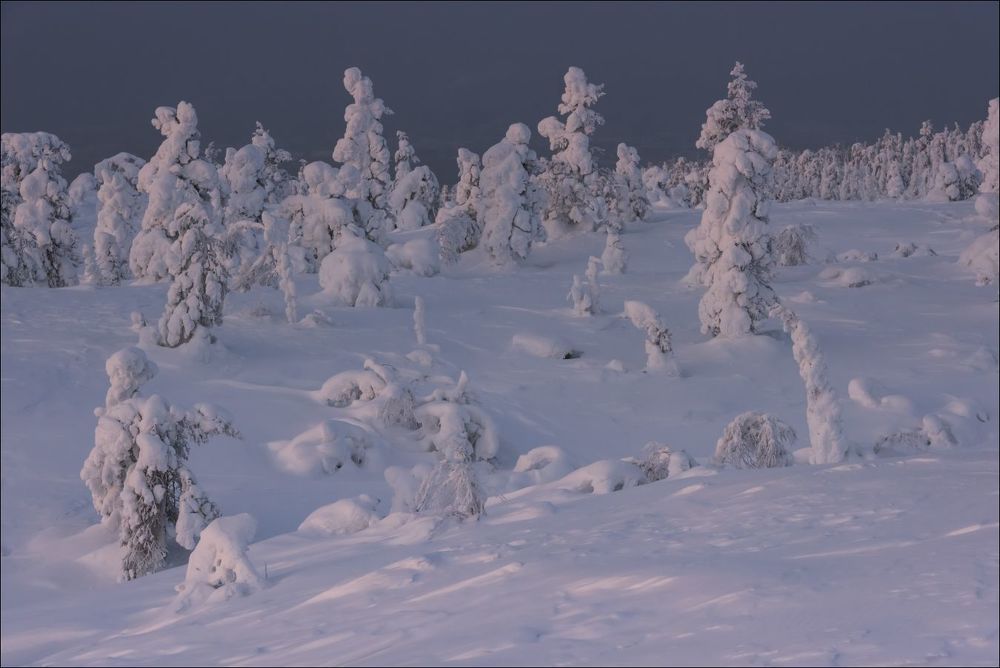 Вечер. Затягивает.