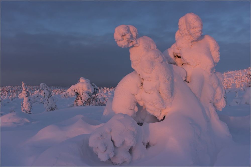Наездники в последних лучах