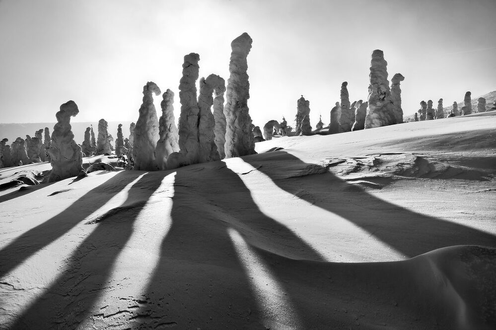 ГУХ. По следам ФОТОГРАФА...
