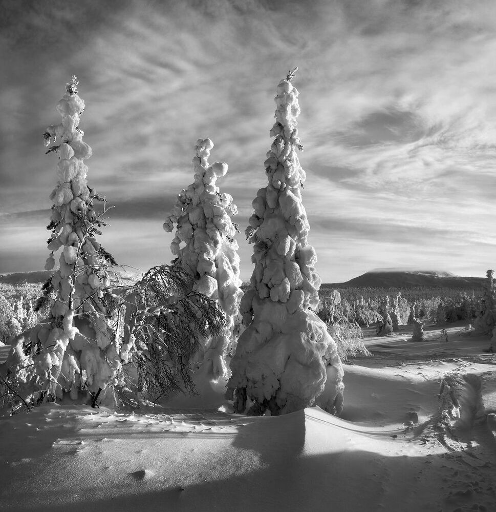 ГУХ. По следам ФОТОГРАФА...