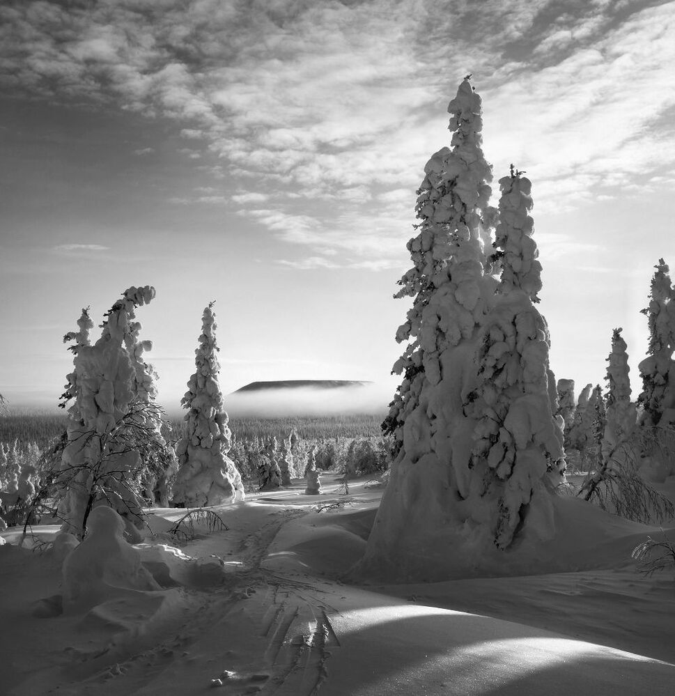 ГУХ. По следам ФОТОГРАФА...