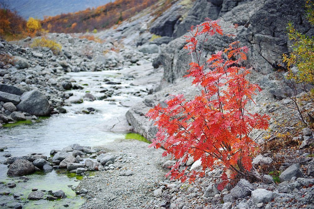 Кольская осень