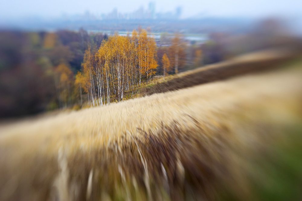 Проба Lensbaby