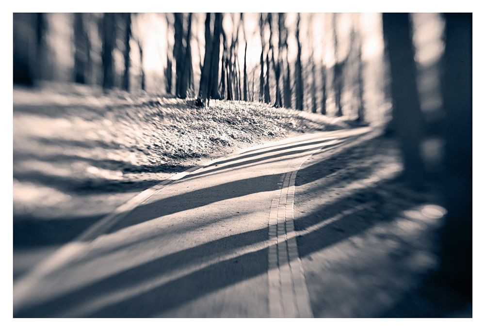 По Царицино с Lensbaby