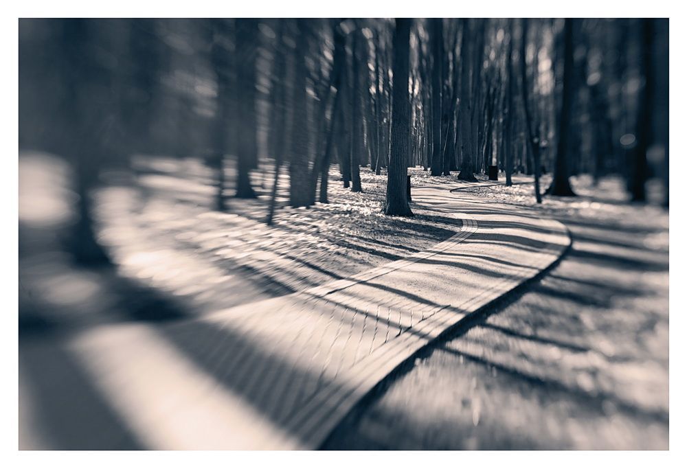 По Царицино с Lensbaby