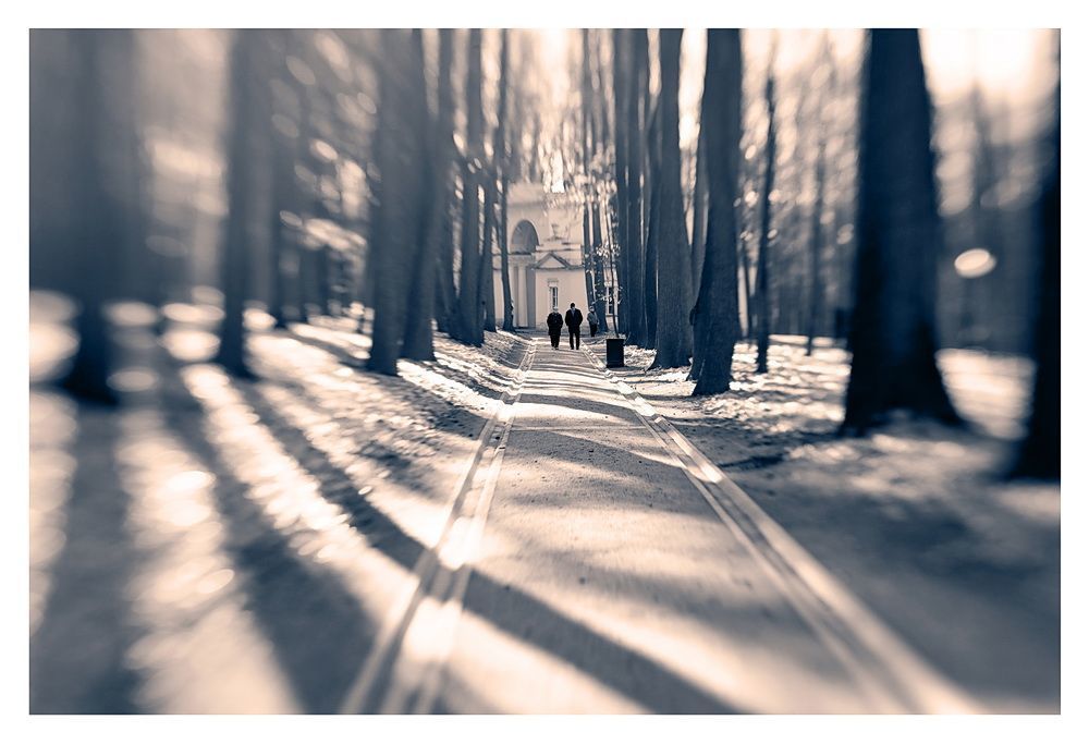 По Царицино с Lensbaby