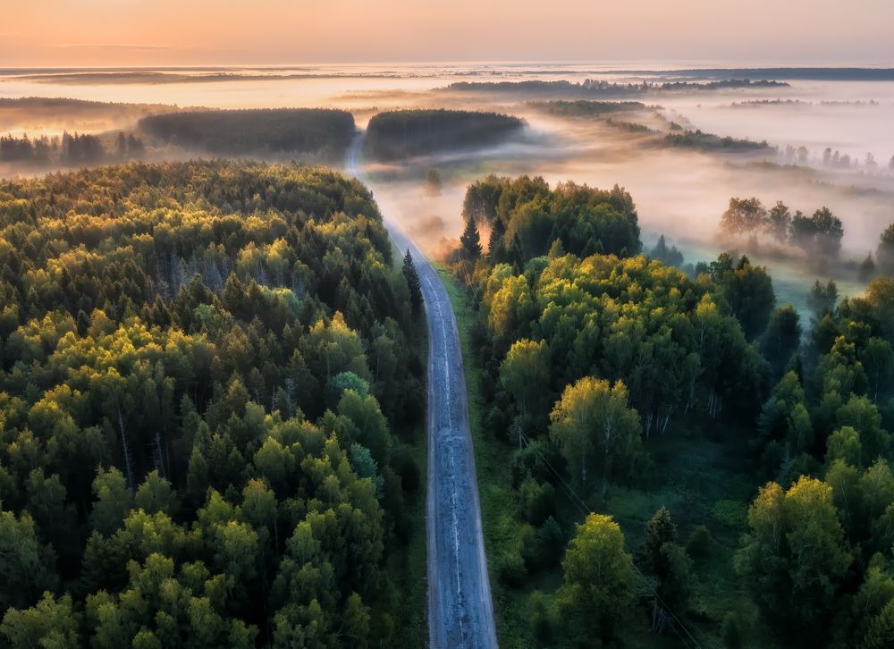 Дорога к храму в Годеново. Ярославская область.