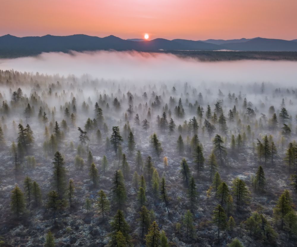 Туманы Колымы.