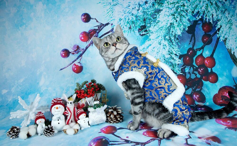 C Новым Годом! Happy New Year!
