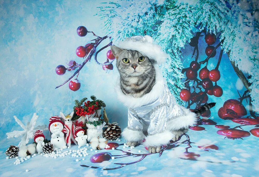 C Новым Годом! Happy New Year!