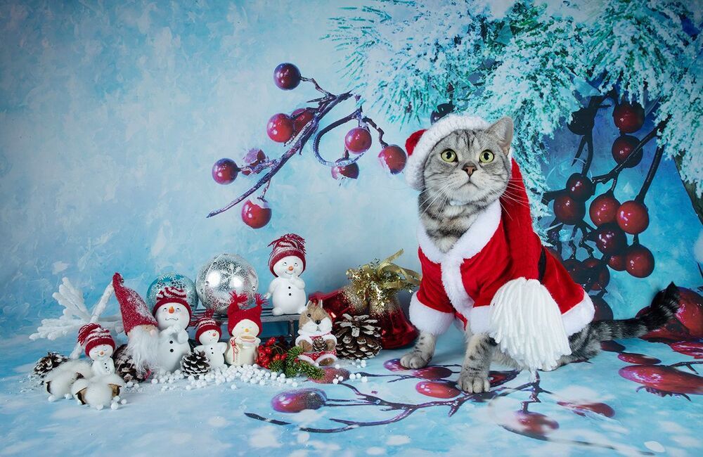 C Новым Годом! Happy New Year!
