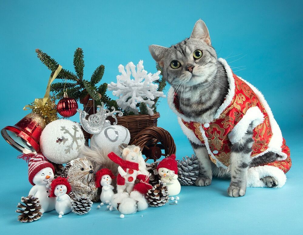 C Новым Годом! Happy New Year!
