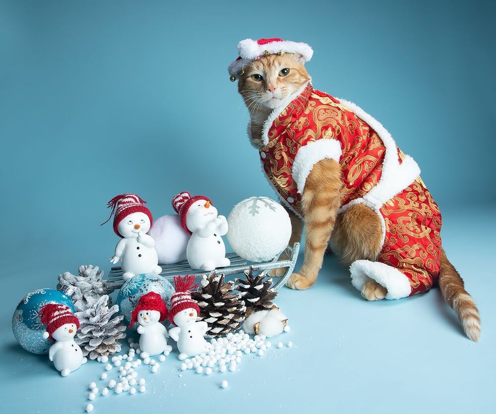 C Новым Годом! Happy New Year!