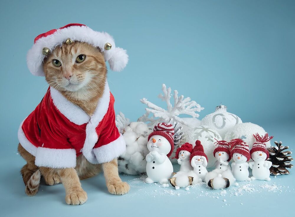 C Новым Годом! Happy New Year!