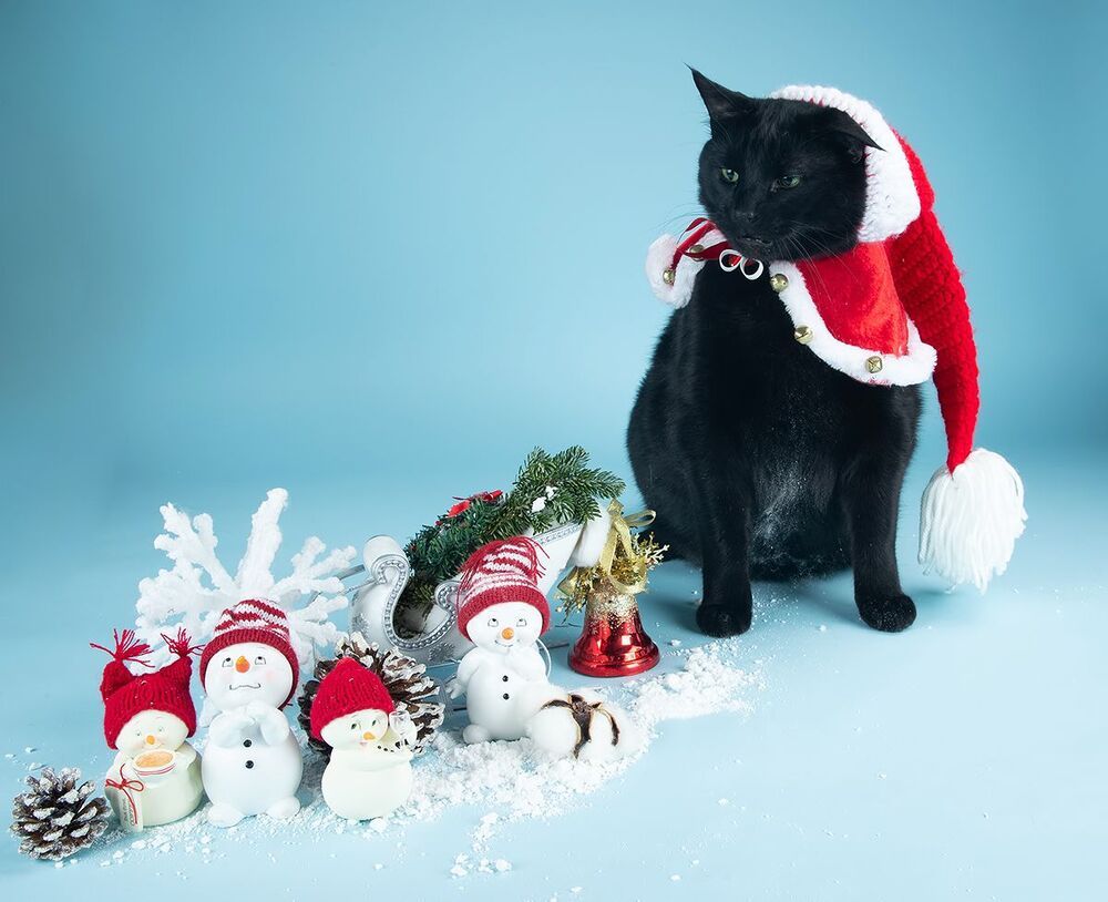 C Новым Годом! Happy New Year!