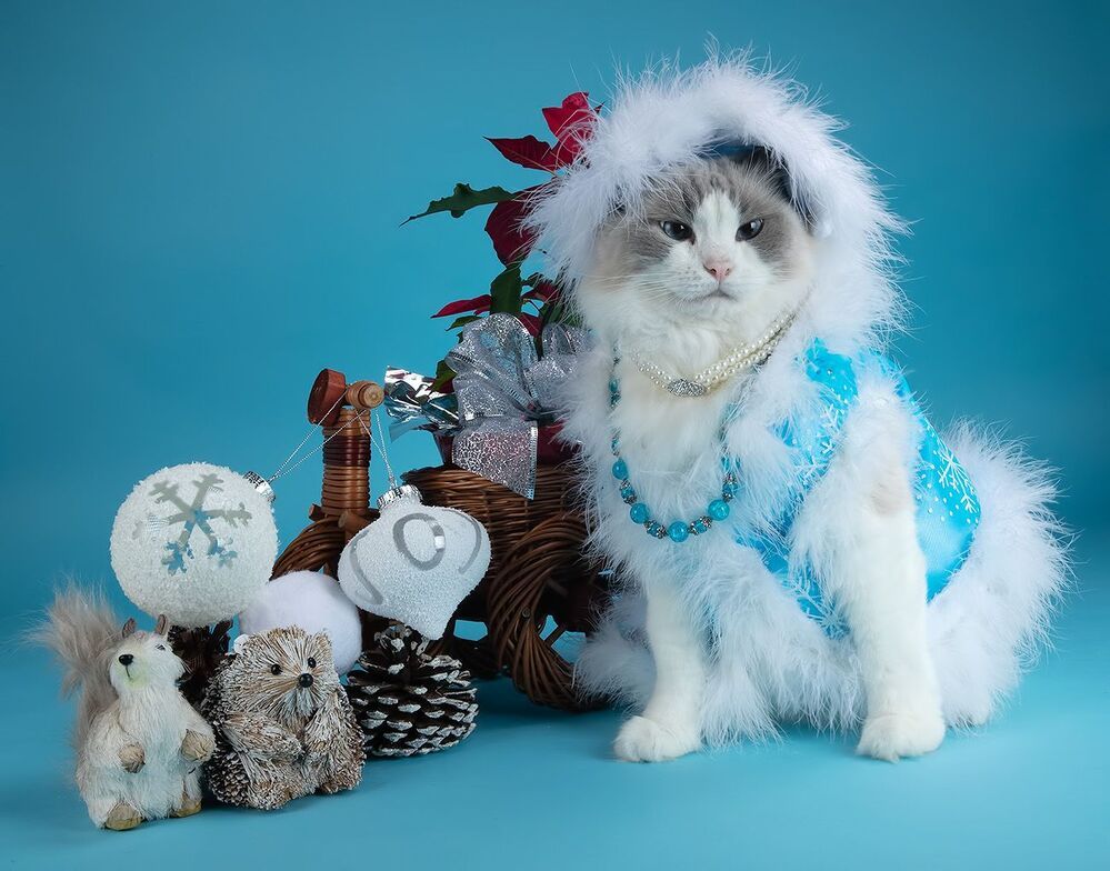C Новым Годом! Happy New Year!