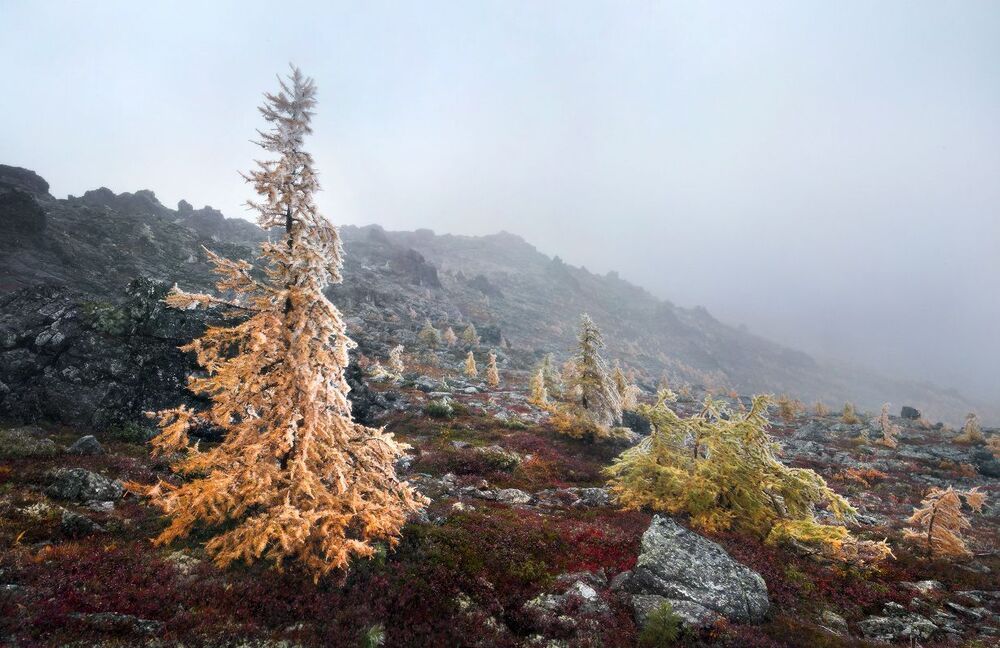 Золотая осень на Серебрянском камне