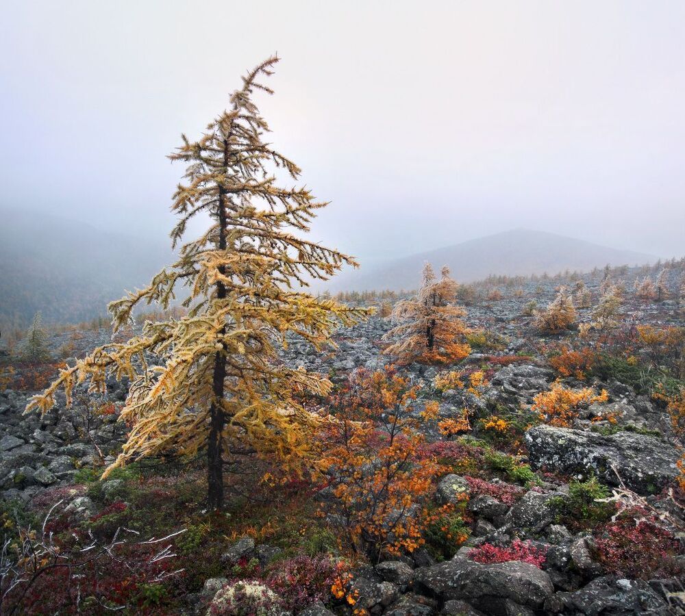 Золотая осень на Серебрянском камне