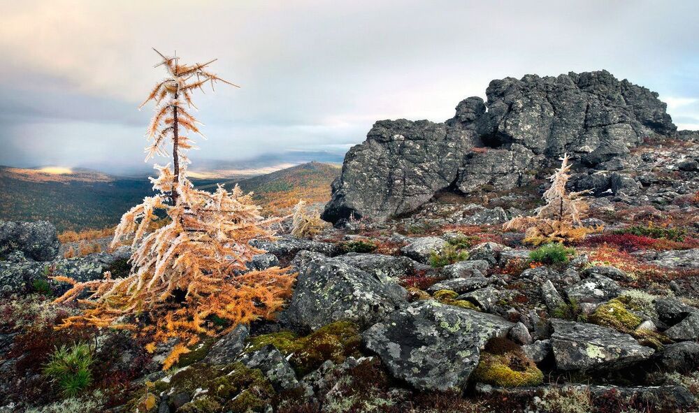 Золотая осень на Серебрянском камне