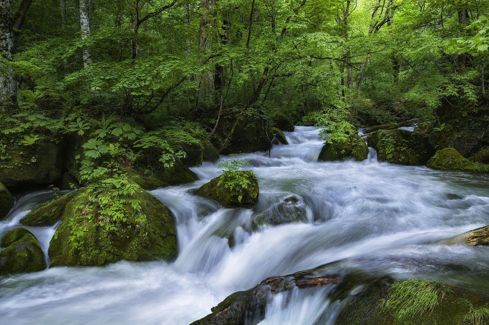 Landscape photos of Japan