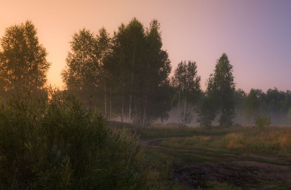 Зорька ясная, зорька летняя