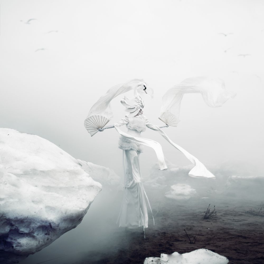 "Dance in the fog"