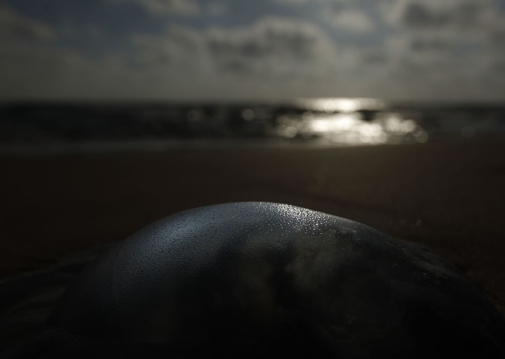Photo 1605749