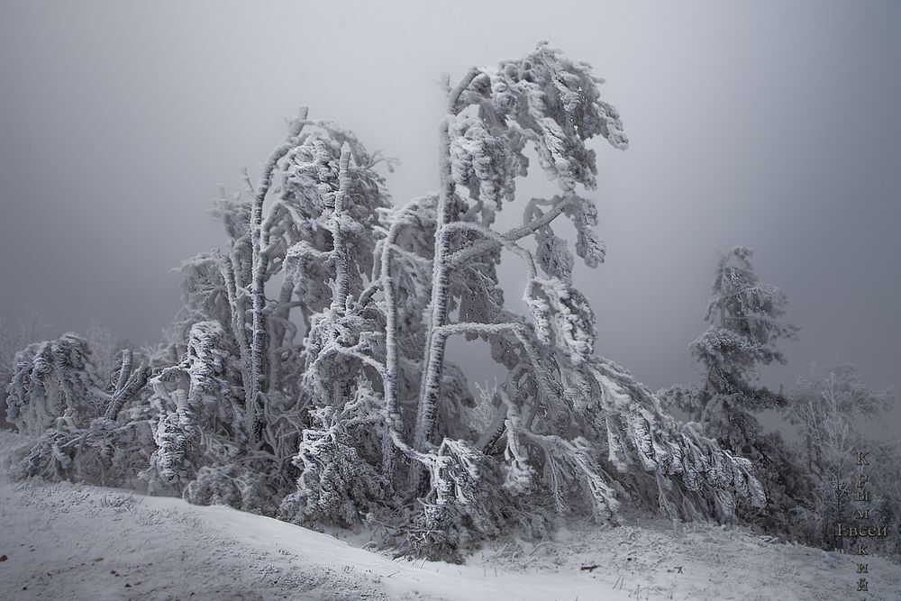 Photo 1606515