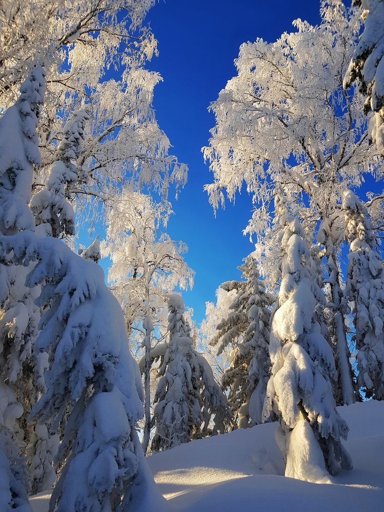 ... кто-то с посохом стоит...