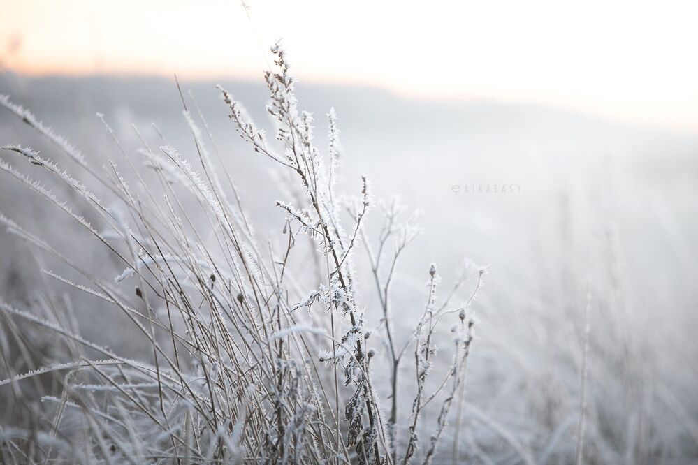 Winter evening