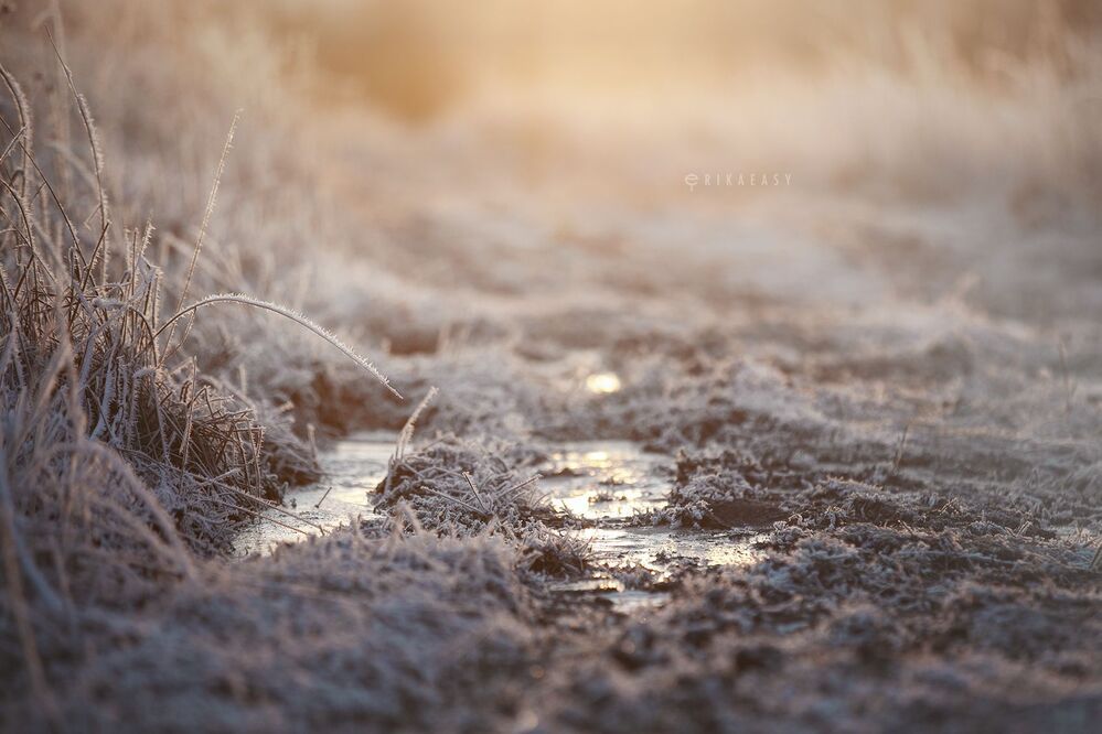 Winter evening